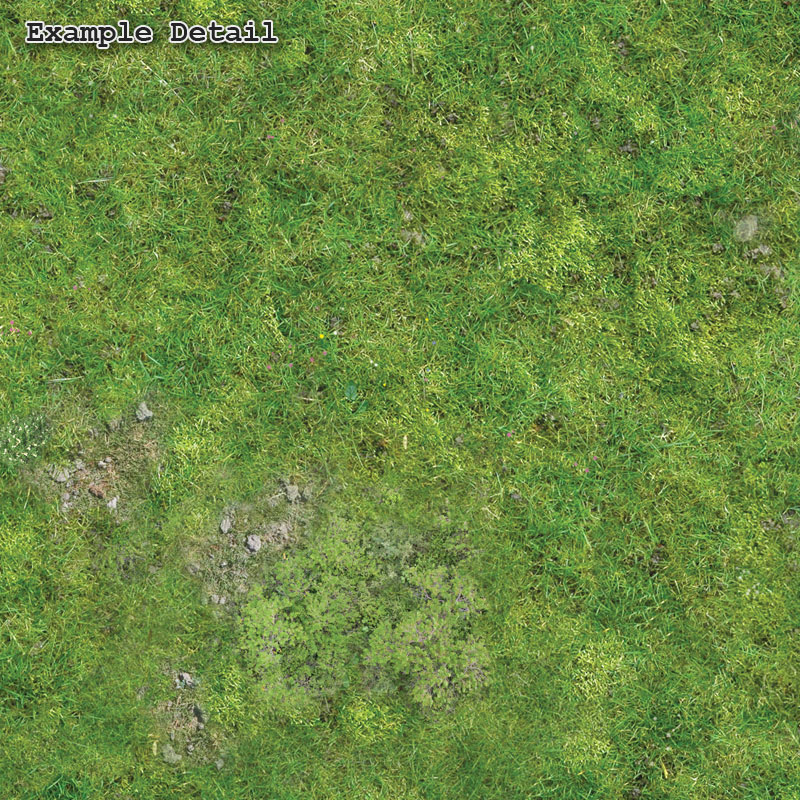 Grassland Battle Mat dungeons and dragons Battleboard warhammer wargaming 