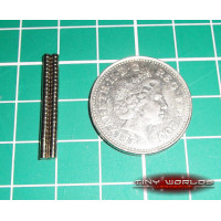 50 x 2mm x 1mm Neodymium Magnets (2x1mm)