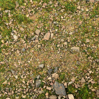 EasyBase European Pastures