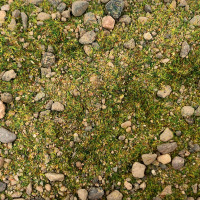 EasyBase Highland Slopes