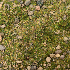 EasyBase Highland Slopes