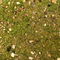 EasyBase Mediterranean Hills