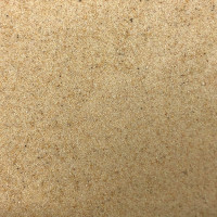 EasyBase Tropical Beach