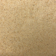 EasyBase Tropical Beach