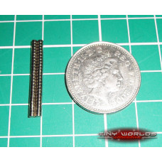 2mm x 1mm Neodymium Magnets (2x1mm)